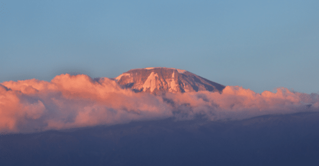 coaching-action Écologie de soi